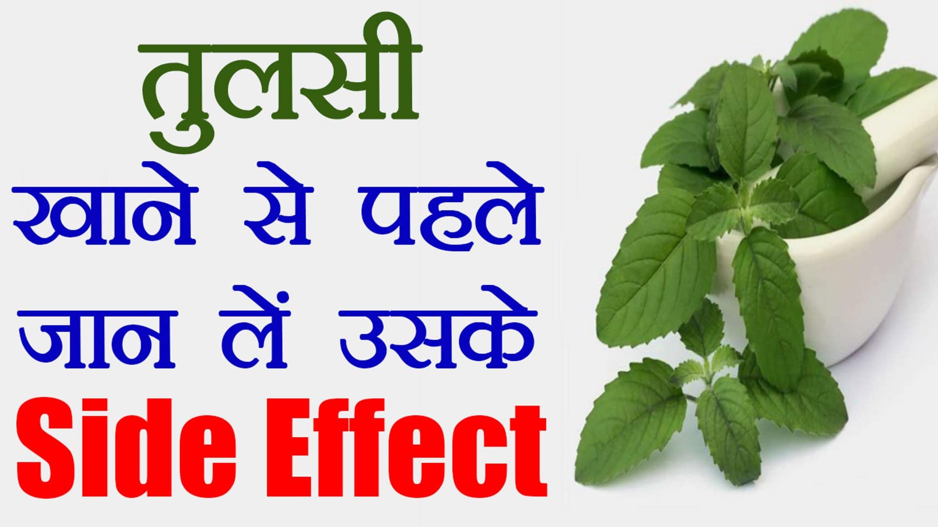 Side Effects Of Tulsi Holy Basil, рддреБрд▓рд╕реА рдХреЗ рд╕реЗрд╡рди рдХреЗ рдЦрддрд░рдирд╛рдХ рджреБрд╖реНрдкрд░рд┐рдгрд╛рдо