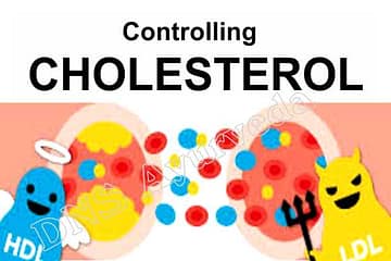Cholesterol Care tips