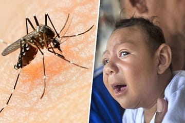 Health ministry sends team in mp for zika virus