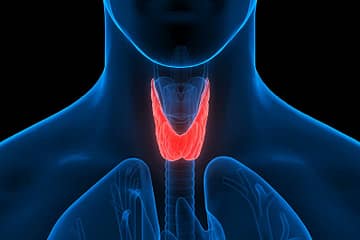 thyroid and its treatment