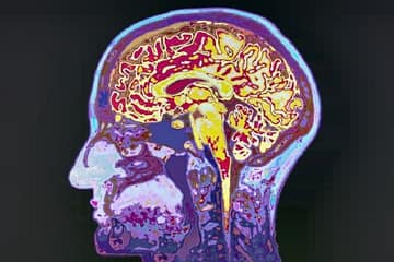 best ayurvedic clinic in lucknow, Diseases spreading during loksabha elections 2019