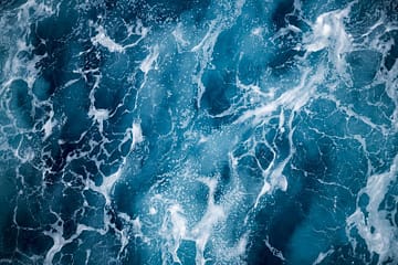 Scientists are searching the ocean for new drugs