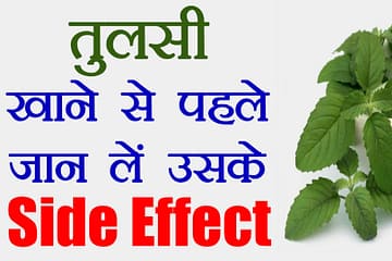 Side Effects Of Tulsi Holy Basil, तुलसी के सेवन के खतरनाक दुष्परिणाम
