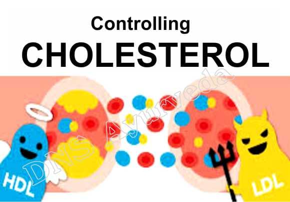 Cholesterol Care tips