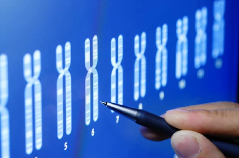 Machine-learning system used to diagnose genetic diseases