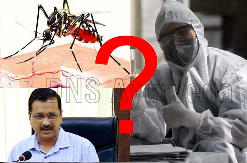 Dengue in Delhi Spreading during COVID-19 Pandemic