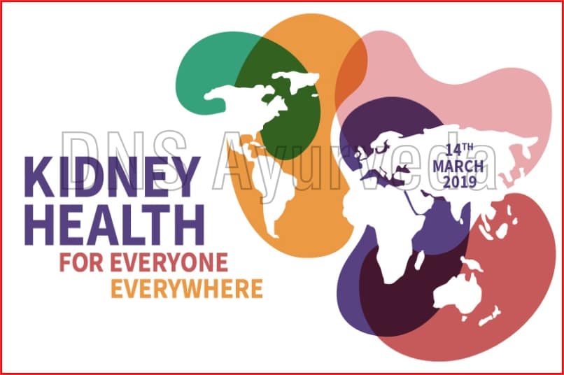 World Kidney Day कब और क्यों मनाया जाता है वर्ल्ड किडनी डे
